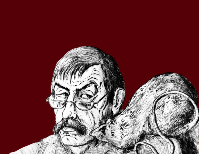 Преодоление прошлого. Путешествие по вселенной Гюнтера Грасса